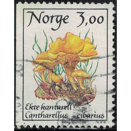 Norvge 1989 Oblitr Used Champignon Cantharellus Cibarius Girolle Y&t No 966 Su