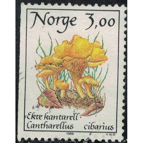 Norvge 1989 Oblitr Used Champignon Cantharellus Cibarius Girolle Y&t No 966 Su