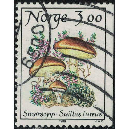 Norvge 1989 Oblitr Used Mushrooms Champignons Suillus Luteus Bolet Jaune Y&t No 967 Su