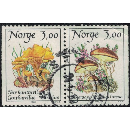 Norvge 1989 Oblitr Used Se-Tenant Champignons Cantharellus Cibarius Et Suillus Luteus Y&t No 966a Su