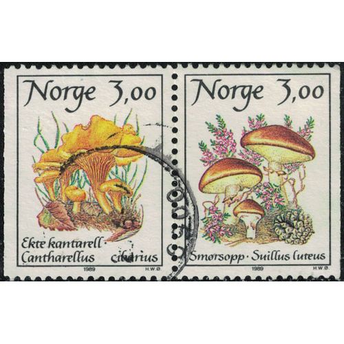 Norvge 1989 Oblitr Used Se-Tenant Champignons Cantharellus Cibarius Et Suillus Luteus Y&t No 966a Su