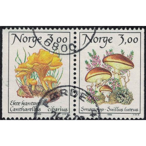 Norvge 1989 Oblitr Used Se-Tenant Champignons Cantharellus Cibarius Et Suillus Luteus Y&t No 966a Su