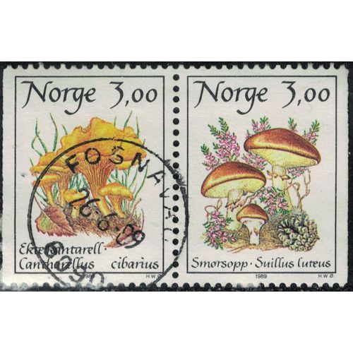 Norvge 1989 Oblitr Used Se-Tenant Champignons Cantharellus Cibarius Et Suillus Luteus Y&t No 966a Su