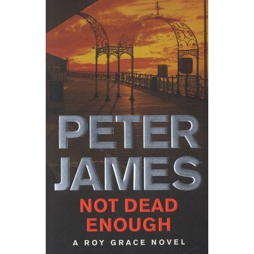 Not Dead Enough   de peter james  Format Broch 
