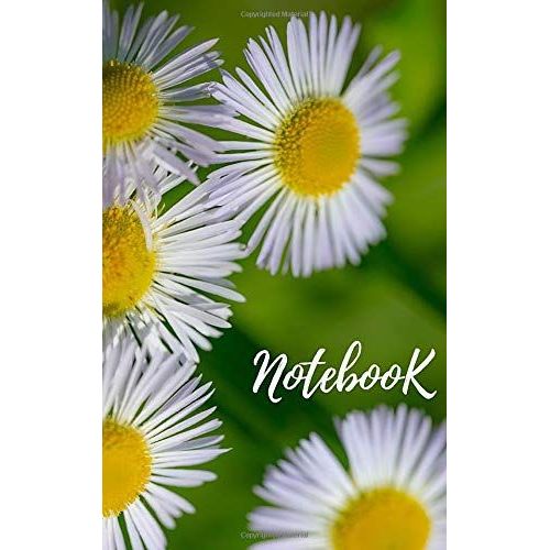 Notebook: Fancy Usefull Diary 65 Pages With Lines.   de Team, Print  Format Broch 
