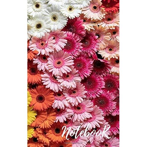 Notebook: Fancy Usefull Diary 65 Pages With Lines.   de Team, Print  Format Broch 