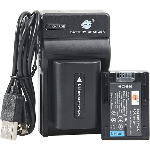 NP-FV50 Li-ION Batterie (2-Pack) et Chargeur USB Costume Compatible pour Sony HDR-CX220 HDR-CX230 HDR-CX290 HDR-CX330 HDR-CX380 HDR-CX430V HDR-CX900 TD30V HDR-CX260V HDR-CX580V HDR-PJ200