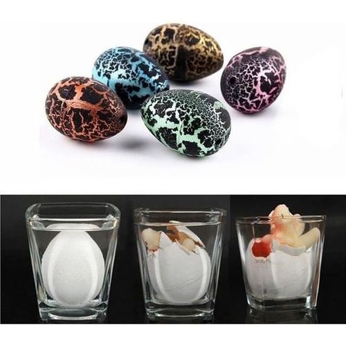 Oeufs Dinosaure A clore Dans L'eau Oeuf  Tramper Jeu Scientifique * Dimensions : 3 X 2 X 2 Cm * Matire : Plastique Fonctions
