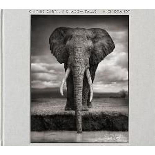 On This Earth, A Shadow Falls   de Brandt Nick  Format Cartonn 