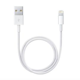 Chargeur de voiture rigide Lightning/USB pour Apple iPhone 5/5S