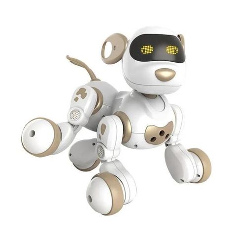 Ou - Jouet lectronique Intelligent pour animaux de compagnie, avec tlcommande  dtection de geste, Robot pour enfants