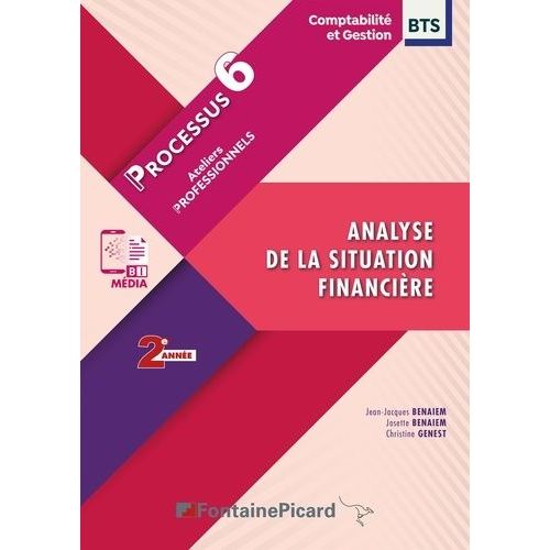 Analyse De La Situation Financire Bts Cg 2e Anne - Processus 6 Ateliers Professionnels    Format Grand Format 