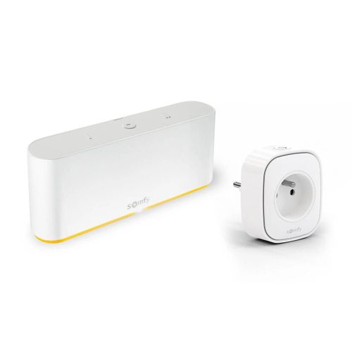 Pack Tahoma Switch + Prise Connecte Zigbee - Pour Centraliser Et Connecter Votre Logement - Compatible Io-Homecontrol, Rts & Zigbee 3.0 Et Avec LAssistant Google, Amazon Alexa, Homekit