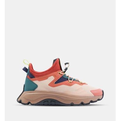 Palladium - Baskets Basses Thunder - Multicolore - 39