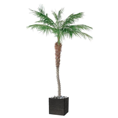 Palmier Phoenix Artificiel H 240 Cm 1 Tronc En Pot > Dispo En Semaine 45 (2020)