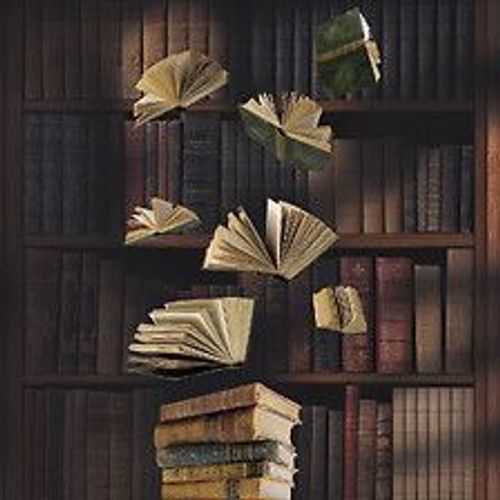 Papier Peint Panoramique Intiss?, Papier Intiss?, Ambiance Vintage Avec Une Envol?E Livresque Devant Une Biblioth?Que Ancienne, , 250 Cm X 250 Cm