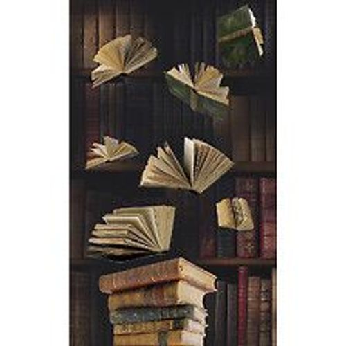 Papier Peint Panoramique Intiss?, Papier Intiss?, Photo Vintage Avec D'envol?E Livresque Devant Une Biblioth?Que Ancienne,, 250 Cm X 150 Cm
