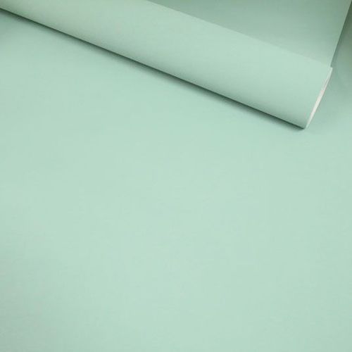 Papier Peint Vinyle Sur Intiss - Intemporel - Uni Grain Fin Vert D'eau Decoweb.Com - Rouleau(X)