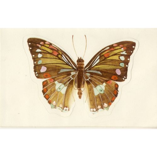 Papillon Dcoup
