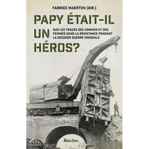 Papy tait-Il Un Heros ? - Sur Les Traces Des Hommes Et Des Femmes Dans La Resistance Pendant La Seconde Guerre Mondiale   de Maerten Fabrice  Format Album 