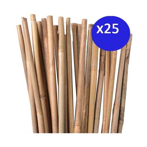 Pack 25 x Tuteur en bambou 100 cm, diamètre 810 mm. Tuteurs pour plantes, tiges de bambou