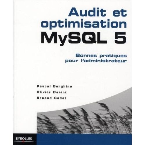 Audit Et Optimisation Mysql 5 - Bonnes Pratiques Pour L'administrateur    Format Broch 