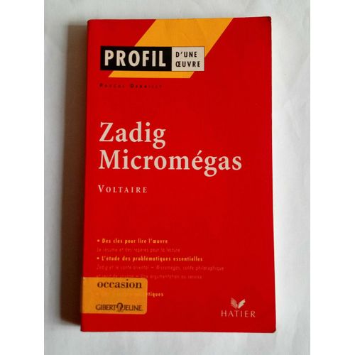 Pascal Debailly Zadig Micromgas Profil D'une Oeuvre Hatier   