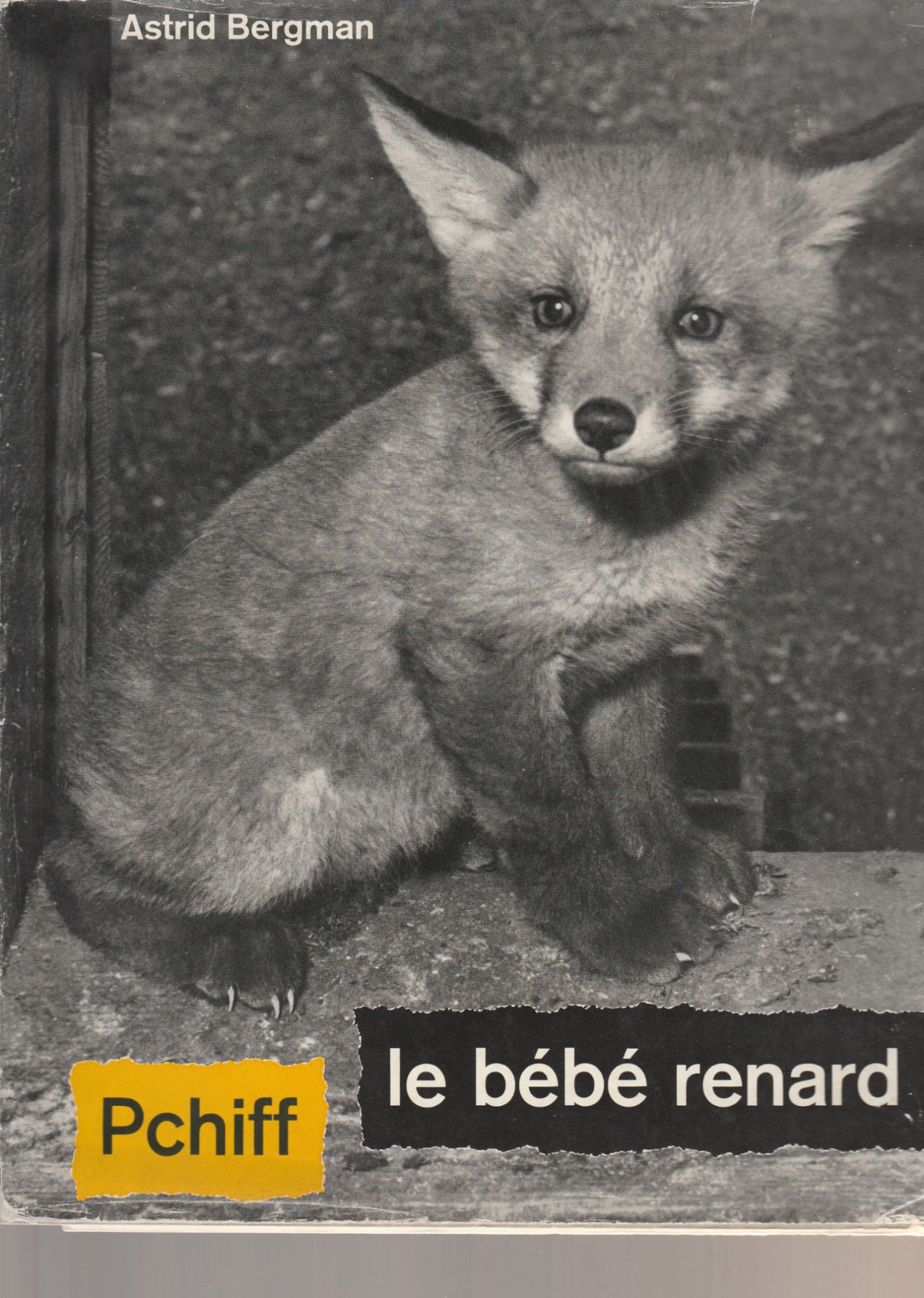 Pchiff Le Bebe Renard Litterature Rakuten