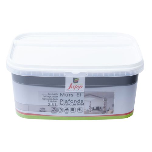 Peinture Mur Et Plafond Acrylique Mate Gris Bton 2,5l Jafep