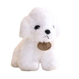 Peluche de chiot maltais blanc, jouet de chien en peluche, mignon