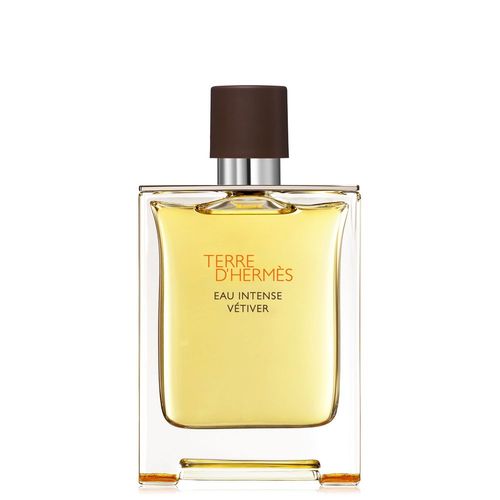 Terre D'herms - Herms - Eau Intense Vtiver
