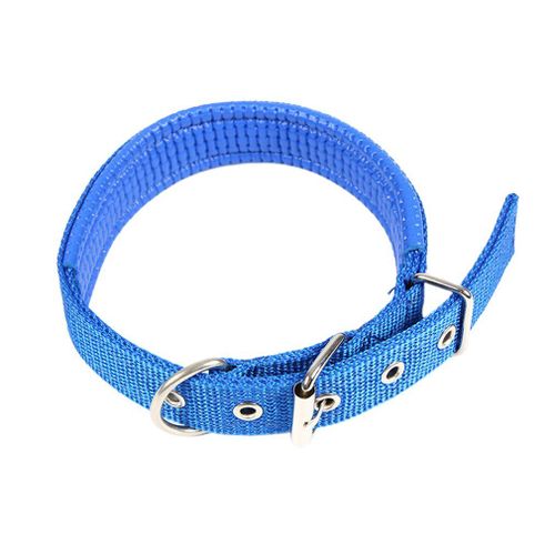 Pet Supplies Pet Collier pour chien Collier pour chien en mousse éponge