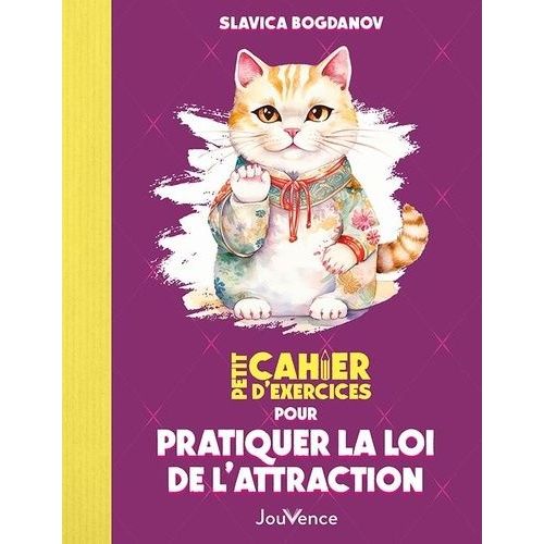 Petit Cahier D'exercices Pour Pratiquer La Loi De L'attraction    Format Grand Format 