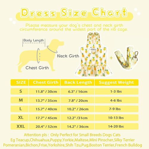 Petit Chien Robe Harnais Et Laisse Ensemble Mignon Princesse Anniversaire Chien Robes Fruits Mous Imprim Chiot Robes Fille Chien Vtements (Jaune Ananas, L)