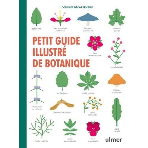 Petit Guide Illustr De Botanique   de Dcarpentrie Corinne  Format Beau livre 