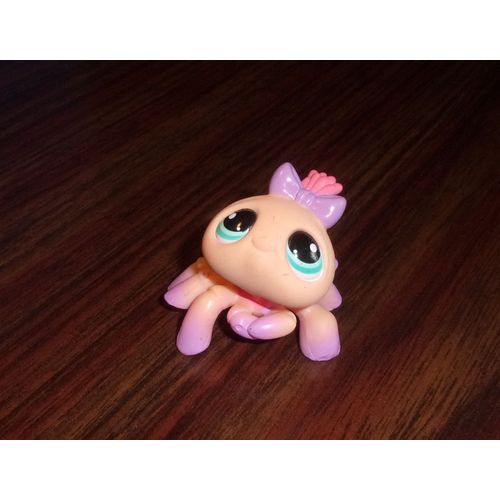 Petshop Araignee N1078