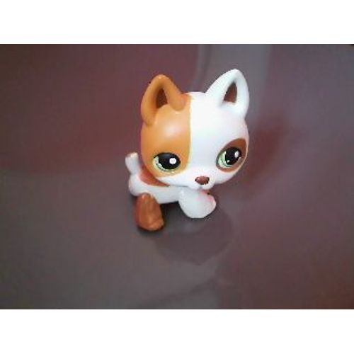 Petshop Chien Jack Russel