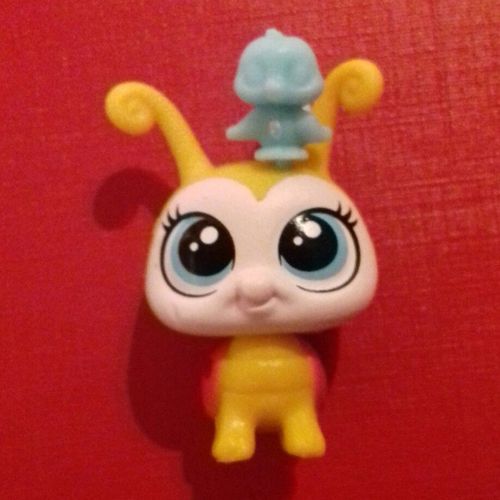 Petshop  Coccinelle Nn 280 Marybee Scarlett  