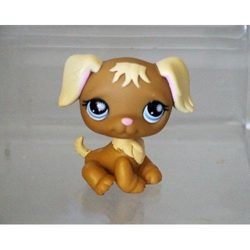 Petshop Lps Golden Retriever N 951