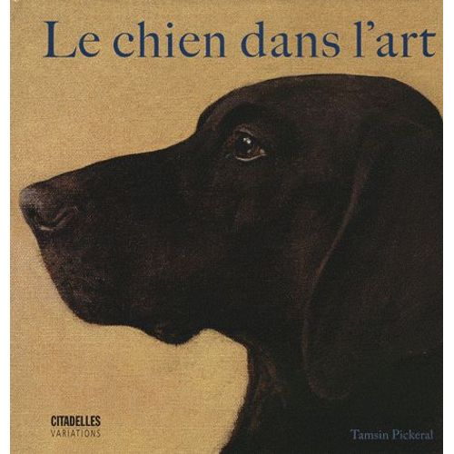 Le Chien Dans L'art   de Tamsin Pickeral  Format Beau livre 