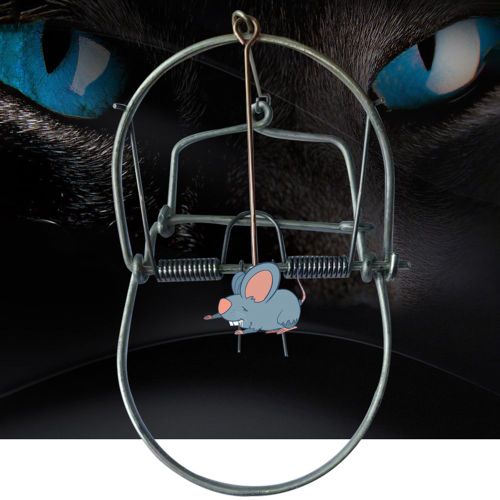 Pige  Souris  Grande Taille, Pige  Souris  Ressort, Pige  Souris, Cage  Rongeur, Rpulsif  Taupe, Pige  Rats