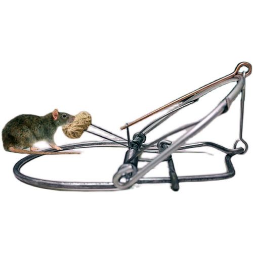 Pige  Souris En Mtal Pour Rats, Pige  Ressort, Cage  Rongeurs Instantane, Contrle Des cureuils, Attrape-Belette, Outil Antiparasitaire, Rpulsif De Taupe