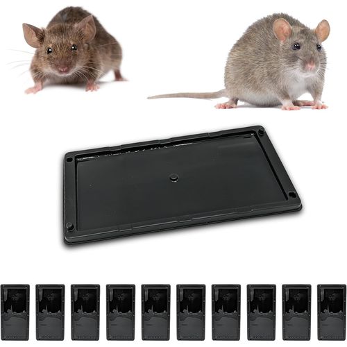Piege A Souris Piege A Rat Colle, Plaques De Glue Anti Rongeur, Alternative Tapette Raticide Souricide [Glu Extra Forte Aromatisee] (10 Plaques Collantes)