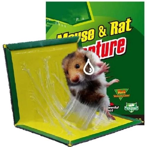 Pige  Souris Piges  Rats Pige Souris Colle,Panneaux Collants  Piges  Rats,Piges  Souris Qui Pour Cafards 10pcs
