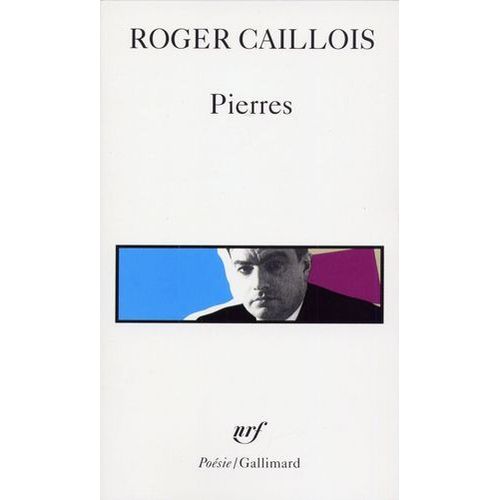 Pierres Suivi D'autres Textes  
