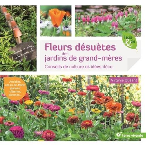 Fleurs Dsutes Des Jardins De Grand-Mres - Conseils De Culture Et Ides Dco   de Quant Virginie  Format Beau livre 