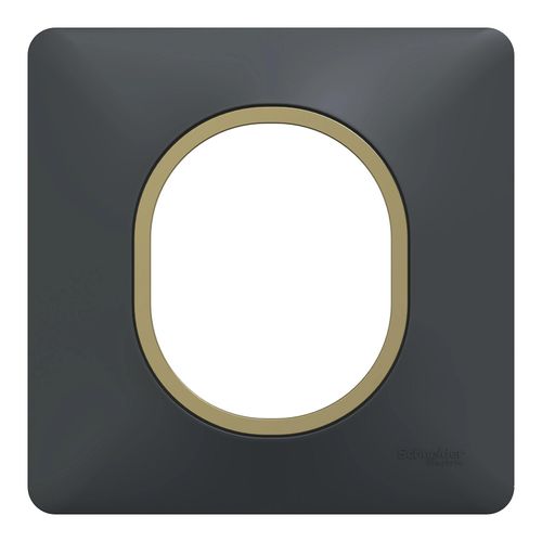 Plaque De Finition 1 Poste Schneider Electric Ovalis S340702e Coloris Anthracite Avec Liser Laiton L.87 X P.10 X H.87 Mm