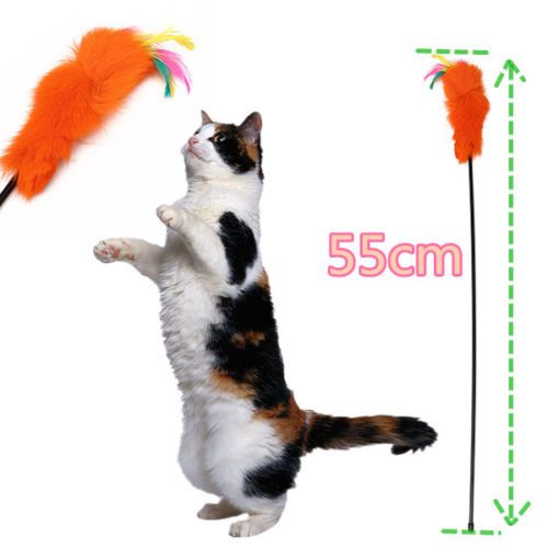 Plumeau Pour Chat Jouet Poil Plume Canne A Peche Cat Toy 55cm Rakuten