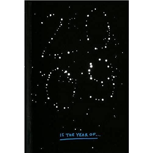 Pocket Diary 2009   de unknown  Format Broch 