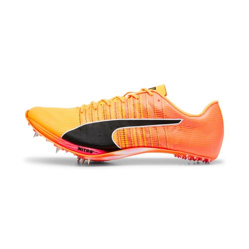 Pointes D'athltisme Evospeed Sprint Nitro 2 - 44